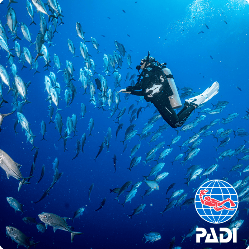 PADI アドバンスド・オープンウォーター（AOW）コース — メイン